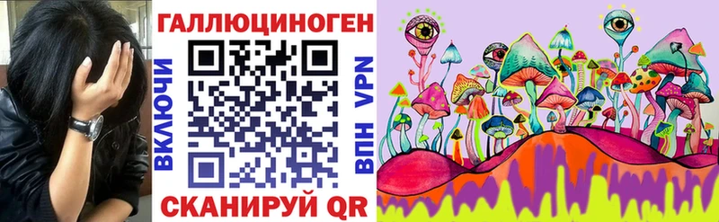 Псилоцибиновые грибы ЛСД Каргополь